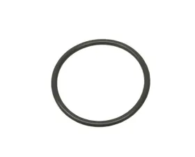Victor Reinz O-Ring 05175626AA