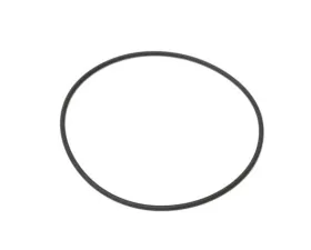 Genuine BMW O-Ring 11-61-1-437-690