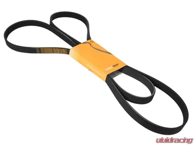 Continental Belt 6K X 2460 C2S24900 - C2S24900