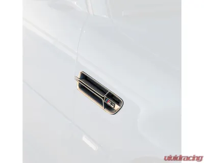Vorsteiner Nickel Plated V20 Limited Side Grilles BMW M3 E46 2000-2006 - BMV5695