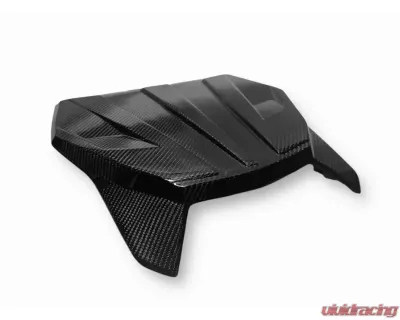 FourWerx Carbon Fiber R24 Center Hood Smart Shox Only - MAV-R-CHR24