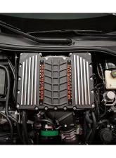 Magnuson Magnum TVS2650 Supercharger Kit for GM LT1/LT4 with Corvette Drive                                     - 05-26-62-174-BL - Image 8