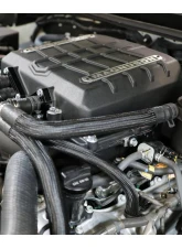 Magnum TVS2650 Supercharger System Toyota Land Cruiser | Lexus LX570  5.7L Gasoline Engines 2008-2021                                     - 01-26-57-123-BL - Image 3