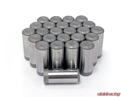 Sandcraft Motorsports 25pc Short Differntial Rollers - 10000118
