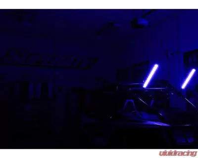 SuperATV 2 Foot RGB Led Whip Lights w/o Brackets - WL-2-001
