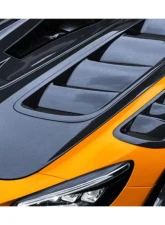 DarwinPro Autoclaved Double Sided Dry Carbon Fiber IMPII Performance Hood Mercedes Benz AMG GT | GTS | GTC | GTR 2015-2021                                     - DRYDCF8511IMPII-H - Image 10