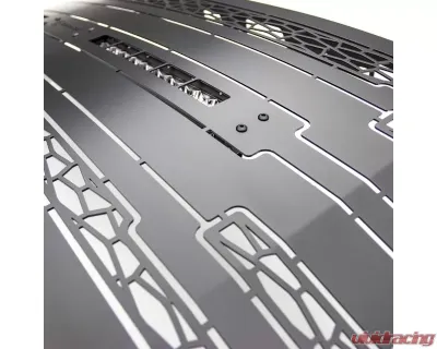 ZROADZ Grille Black 1 Pc Replacement w/ 2Pcs 10" LEDs Ford  Super Duty 2017-2019 - Z315371