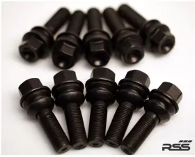 RSS Set of 10 Black Zinc Coated Extended Lug Bolts