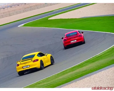 RSS GT4  Stage 2 Suspension Kit Porsche GT4 981 | 718 GT4/GT4RS | Spyder - TS-2-GT4