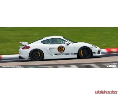 RSS GT4  Stage 2 Suspension Kit Porsche GT4 981 | 718 GT4/GT4RS | Spyder - TS-2-GT4
