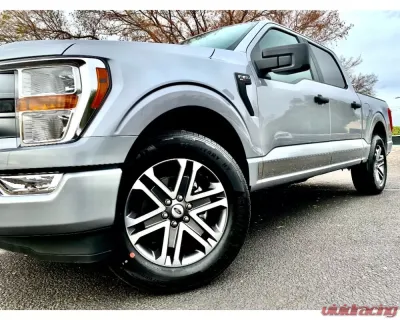 ICI Innovative Creations Stainless Steel 4.5 Wide 8 Bed STD Cab Rocker Panels Ford F-150 2021-2023 - T4175-304M