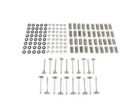 T1 Race Development Valvetrain Kit Audi R8 | Lamborghini Huracan