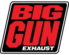 Big Gun 10 x 10