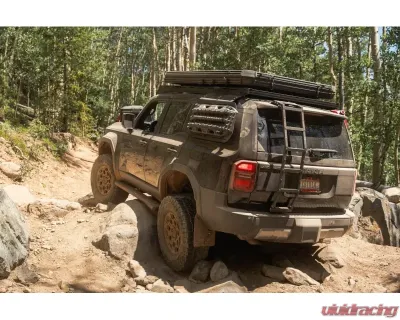 CBI Offroad Overland Rock Sliders Bare Metal Toyota Land Cruiser 2024 - 300-000-016-056