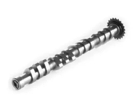 IE Race Intake Camshaft For VW/Audi 1.8T 20V engines