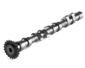 IE Street/Race Exhaust Camshaft Volkswagen | Audi 1.8T 20V Engines