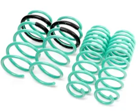 IE Performance Lowering Springs