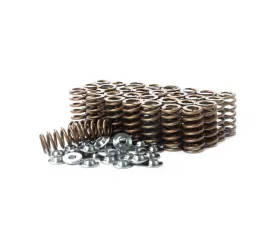 IE Valve Spring & Retainer Kit