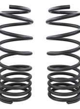 ARB 4x4 Coil Spring Rear                                     - 3339 - Image 4