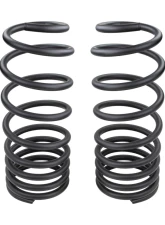 ARB 4x4 Coil Spring Rear                                     - 3339 - Image 2