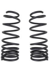ARB 4x4 Coil Spring Rear                                     - 3339 - Image 4