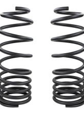 ARB 4x4 Coil Spring Rear                                     - 3340 - Image 4