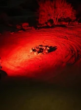 ARB 4x4 NACHO NANO 2 Pack Scene Light Kit with Red Lens                                     - NAN312 - Image 5