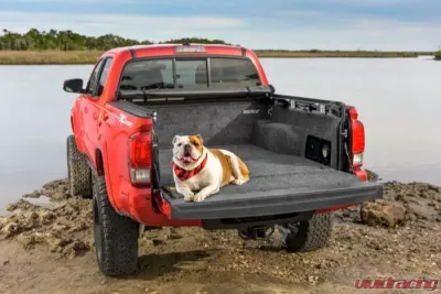 Bedrug Bed Liner 5.5' Bed Toyota Tundra 2022-2024 - BRY22SBK