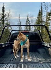 Heavy Metal Off-Road Softopper Bed Bar 23-Inch Bare Steel Pair Nissan Frontier 2005-2021                                     - HMORBB18 - Image 6