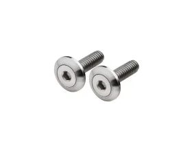Billet Specialties 5/16-18X1