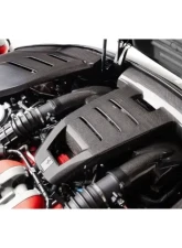 Novitec Visible Carbon Engine Cover for Ferrari Purosangue 2024-2025                                     - F6 666 70 - Image 2