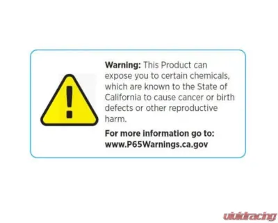 EGR Rugged Style Fender Flares Set RAM 1500 2019 - 752954