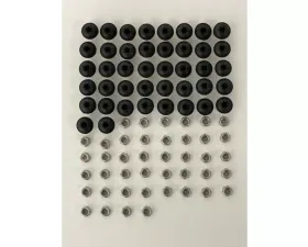 EGR Black Stainless Steel Powdercoated Bolt Kit
