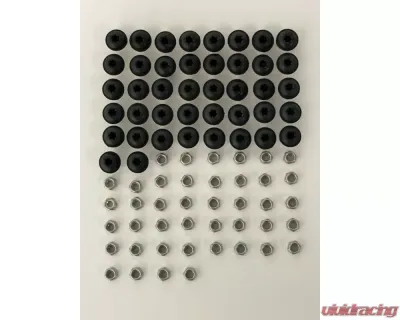 EGR Black Stainless Steel Powdercoated Bolt Kit - KITUSA0012-1