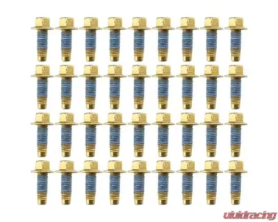 Industrial Injection Big Iron Extended Oil Pan Bolt Kit  Cummins Dodge Ram 2500 | 3500 1994-2002 - BI591224VOPB