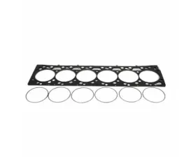 Industrial Injection Fire Ring Gasket Kit 5.9L Cummins Dodge Ram 2500 | 3500 2003-2007