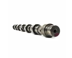 Industrial Injection  Stage 1 Race Performance Camshaft 6.7L Cummins Dodge | Ram 2007-2016