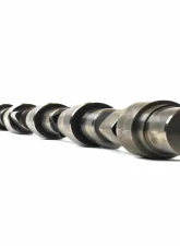 Industrial Injection Stock Reground Camshaft Dodge Cummins 6.7L 2007.5-2018                                     - PDM-770ST - Image 4