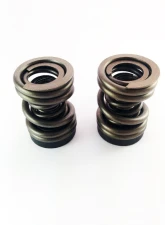 Dynomite Diesel P-Pump 3,000 and 4,000 RPM Governor Spring Kit Dodge 1994-1998                                     - DDP34KGSK - Image 2