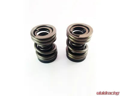 Dynomite Diesel P-Pump 3,000 and 4,000 RPM Governor Spring Kit Dodge 1994-1998 - DDP34KGSK