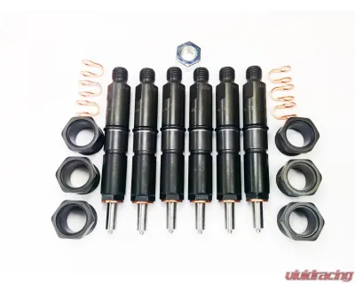 Dynomite Diesel 12 Valve Cummins Custom Injector Set Dodge 5.9L 1994-1998 - DDP9498-SM