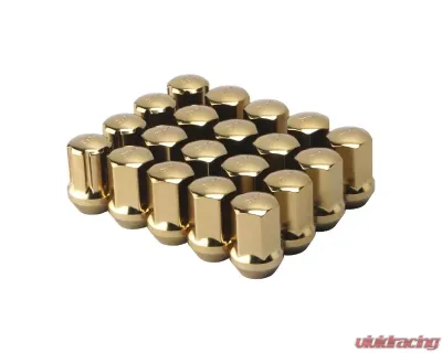 F2 Function and Form Gold Steel Lug Nuts M12x1.5 w| Lock Kit - W0012150.SS-GLD