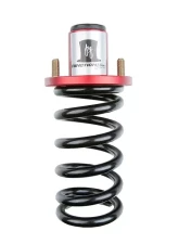 Function and Form Extended Top Hats Acura | Honda 1988-2009                                     - P000809.XTH-25 - Image 2