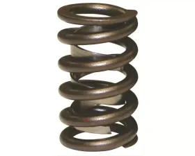 Howards Cams Stock Diameter Performance Single with Damper Valve Spring 1.265