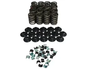 Howards Cams Valve Spring Kit