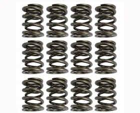 Howards Cams Performance Mechanical Flat Tappet Valve Springs (Set of 12)