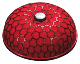 HKS SPF ASSY 200-80 Wet 2row (Red)