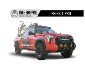 Prinsu Design Studio Pro Crewmax Roof Rack Cutout for 40