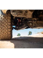 2024-2025 Toyota Tacoma DV8 Offroad A-Arm Skid Plates                                     - SPTT1-05 - Image 9
