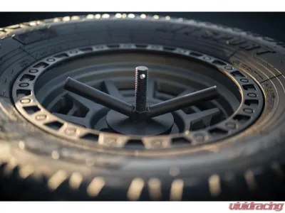 DV8 Offroad Adjustable In-Bed Tire Carrier - TCGL-03